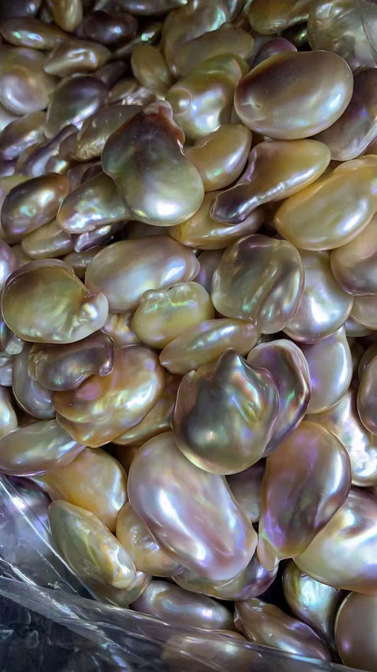 A04.【Live】 UFO Fresh water Pearls Oyster Large and rare, limited availability