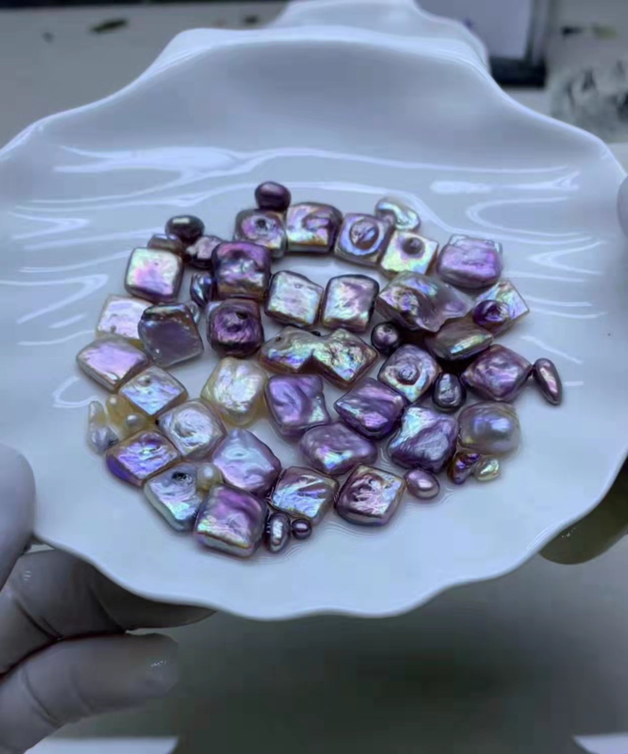 A27.【Live】Square Freshwater Pearls Oyster 【buy 1 ger 1 free】