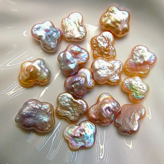 A02.【Live】Butterfly Freshwater Pearl Oyster buy 1 get 1 free