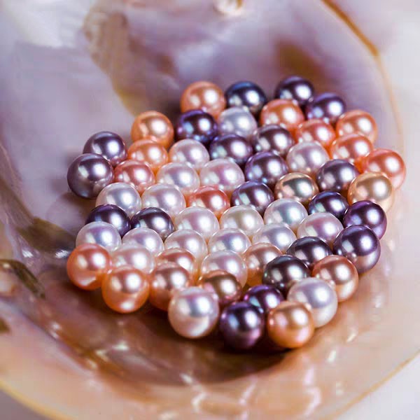00.💥[LIVE OPENING] Treasure Box with 20-30 pearls💥 Company's best selling shell