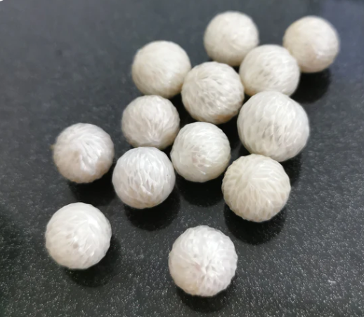 034.【Live】Seawater Dragon scale pearl or white Dragon scale pearl  （loose pearl）