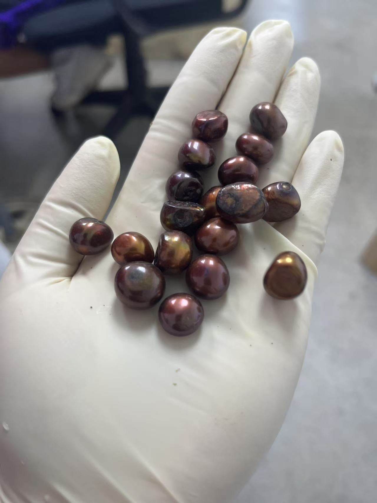 0.Coco Bean pearl no shell opening