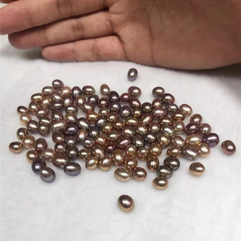 Tic Shells A22.【Live Shell Opening】Tic Tac pearls (Includes 15-20 inside) – pearlclam
