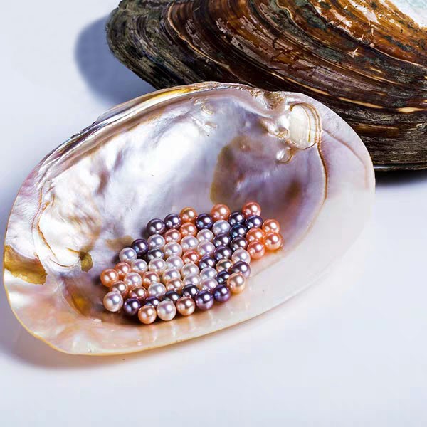 0.000.💥[LIVE OPENING] Treasure Box with 20-30 pearls💥 Company's best selling shell