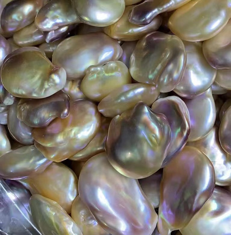 A04.【Live】 UFO Fresh water Pearls Oyster  Large and rare, limited availability